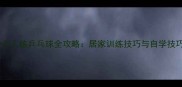 一个人练乒乓球全攻略居家训练技巧与自学技巧
