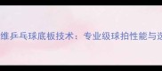 内置碳纤维乒乓球底板技术专业级球拍性能与选购指南