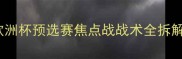 深度丹麦vs法国高清直播欧洲杯预选赛焦点战战术全拆解附赛事前瞻与高清赛程