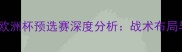 波兰vs瑞典欧洲杯预选赛深度分析战术布局与胜负关键