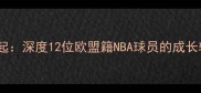 欧洲篮球新星崛起深度12位欧盟籍NBA球员的成长轨迹与数据表现