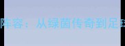 98年世界足球经典阵容从绿茵传奇到足球哲学的传承密码