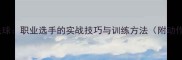 反手上网羽毛球职业选手的实战技巧与训练方法附动作分解图解