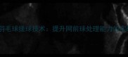 熊国宝羽毛球搓球技术提升网前球处理能力的实战指南