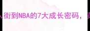 华裔NBA逆袭记从唐人街到NBA的7大成长密码黄种人在NBA的突围之路