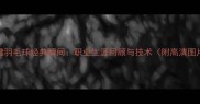 陆健羽毛球经典瞬间职业生涯回顾与技术附高清图片