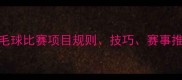 全网最全羽毛球比赛项目规则技巧赛事推荐新手必看