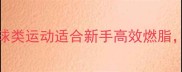 60分钟全场对抗这5种球类运动适合新手高效燃脂附入门攻略运动推荐