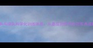 中国乒乓球队科学化训练体系从基层到世界的冠军养成秘籍