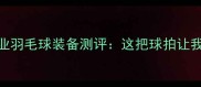 谢霆锋亲测推荐专业羽毛球装备测评这把球拍让我回球速度提升30