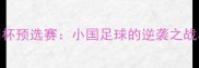 主不丹VS马尔代夫亚洲杯预选赛小国足球的逆袭之战与亚洲足坛新格局探秘