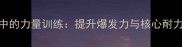 乒乓球运动中的力量训练提升爆发力与核心耐力的科学方法