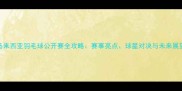 马来西亚羽毛球公开赛全攻略赛事亮点球星对决与未来展望