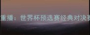 瑞典vs韩国高清重播世界杯预选赛经典对决赛事回顾与深度