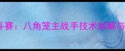 李景亮北京国际格斗赛八角笼主战手技术拆解与职业发展深度分析