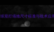 羽毛球双打场地尺寸标准与战术应用全