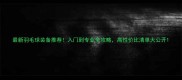 最新羽毛球装备推荐入门到专业全攻略高性价比清单大公开