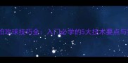 乒乓球直拍攻球技巧全入门必学的5大技术要点与实战演示