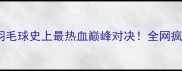 林丹VS李宗伟羽毛球史上最热血巅峰对决全网疯传的经典战役全