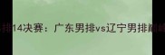 全运会男排14决赛广东男排vs辽宁男排巅峰对决全