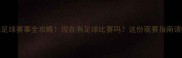全球足球赛事全攻略现在有足球比赛吗这份观赛指南请收好