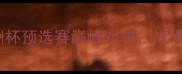 荷兰vs匈牙利欧洲杯预选赛巅峰对决战术博弈与胜负预测全