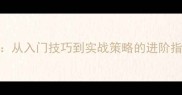 专业羽毛球打法全从入门技巧到实战策略的进阶指南附训练计划