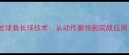 乒乓球发球急长球技术从动作要领到实战应用全攻略