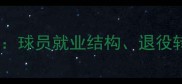 冰岛男足职业分布大球员就业结构退役转型与足球文化影响