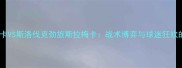 冰岛黑马洪卡VS斯洛伐克劲旅斯拉梅卡战术博弈与球迷狂欢的巅峰对决