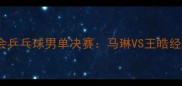 2008北京奥运会乒乓球男单决赛马琳VS王皓经典对决全回顾