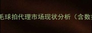 碳纤维羽毛球拍代理市场现状分析含数据支撑