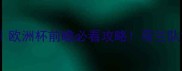 荷兰vs卢森堡预测欧洲杯前瞻必看攻略荷兰队能否碾压对手夺冠