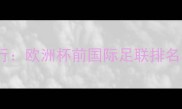 波兰球员身价排行欧洲杯前国际足联排名与转会市场趋势