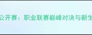 中国羽毛球公开赛职业联赛巅峰对决与新生代选手崛起