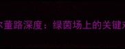 国足vs卡塔尔董路深度绿茵场上的关键对决与战术博弈