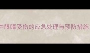 羽毛球运动中眼睛受伤的应急处理与预防措施专业指南