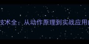 乒乓球推挡技术全从动作原理到实战应用的进阶指南