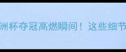 中国队红队亚洲杯夺冠高燃瞬间这些细节让你热血沸腾
