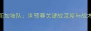 中国男足vs新加坡队世预赛关键战深度与战术博弈全记录