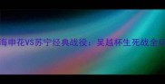 2004上海申花VS苏宁经典战役吴越杯生死战全纪录