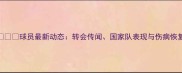 V球员最新动态转会传闻国家队表现与伤病恢复全