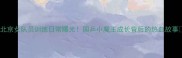北京女队员训练日常曝光国乒小魔王成长背后的热血故事