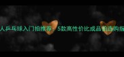 成人乒乓球入门拍推荐5款高性价比成品拍选购指南