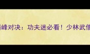 少林功夫全球争霸赛巅峰对决功夫迷必看少林武僧VS国际选手终极比拼