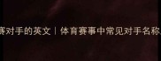正确翻译比赛对手的英文体育赛事中常见对手名称及避坑指南