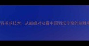 林丹羽毛球技术从巅峰对决看中国羽坛传奇的制胜密码