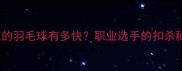 时速390公里的羽毛球有多快职业选手的扣杀秘籍与训练方法
