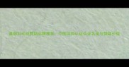最新羽毛球赞助品牌推荐中国羽协认证企业名录与赞助价值