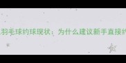 阳江羽毛球约球现状为什么建议新手直接约战